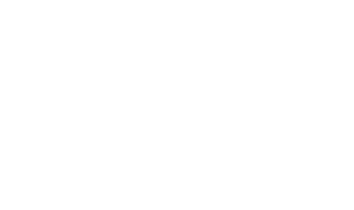logo LMA blanc